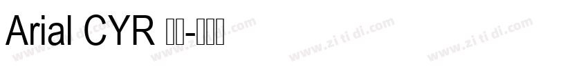 Arial CYR 粗体字体转换